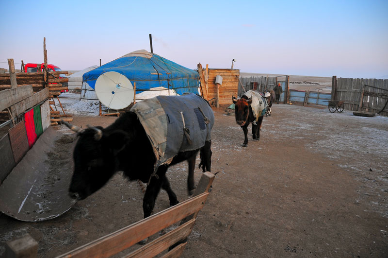 Mongolia